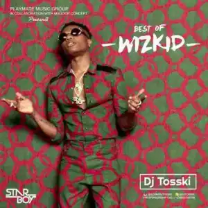 DJ Tosski - Best of Wizkid (2017)